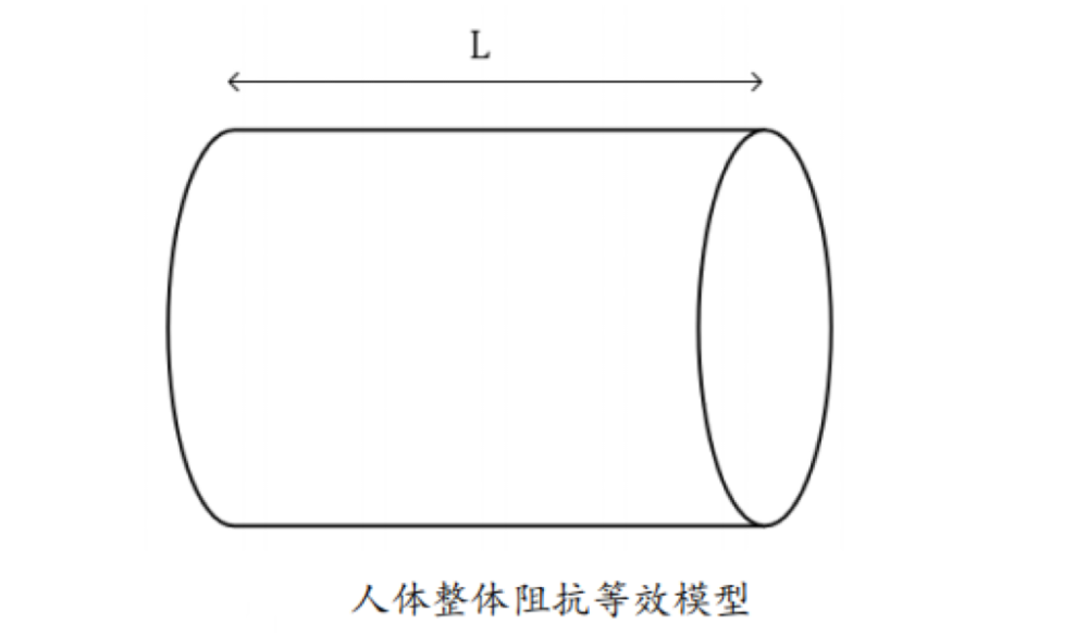 出体脂的？数据准确吗？一起来了解CQ9电子最新网站体脂秤是怎么测(图5)