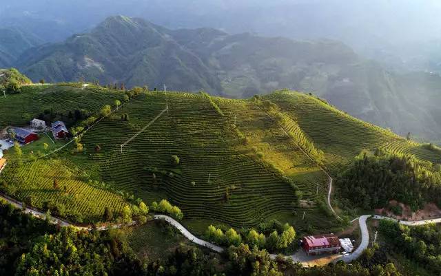 来党中央引领脱贫攻坚纪实CQ9电子app十八大以(图12) 来党中央引领脱贫攻坚纪实CQ9电子app十八大以(图12)