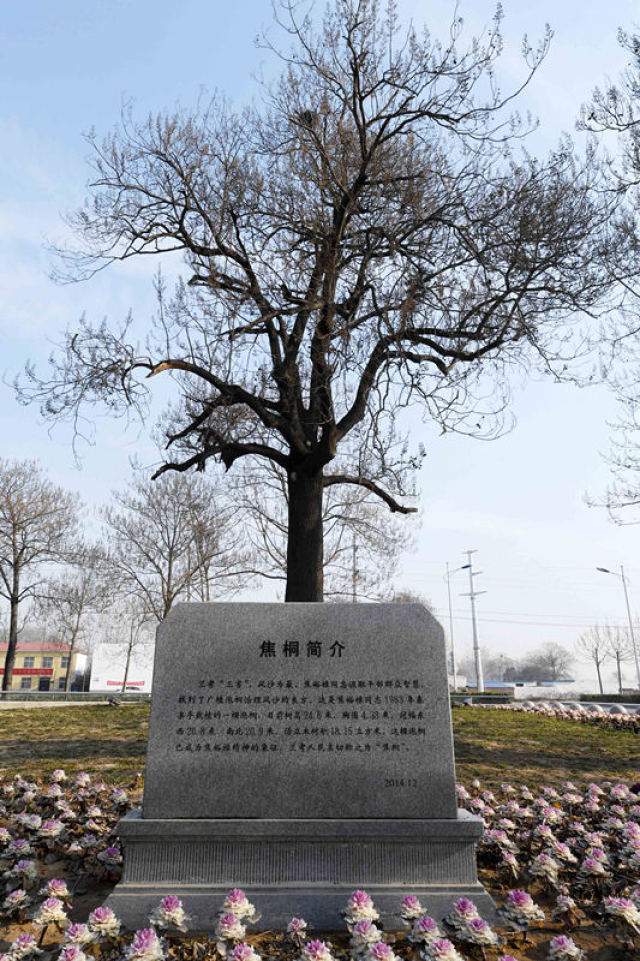 来党中央引领脱贫攻坚纪实CQ9电子app十八大以(图13) 来党中央引领脱贫攻坚纪实CQ9电子app十八大以(图13)