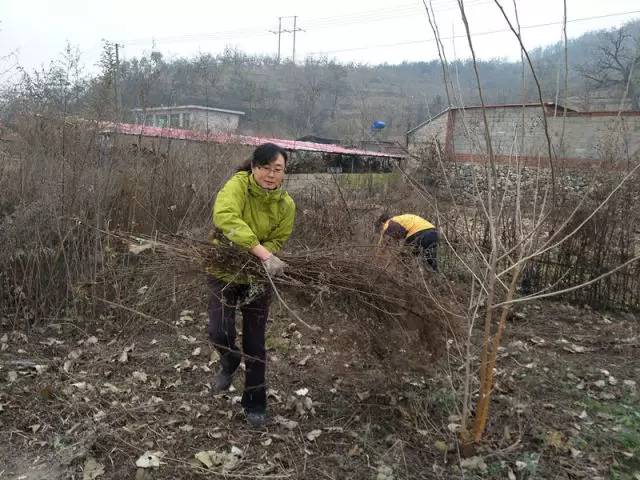 来党中央引领脱贫攻坚纪实CQ9电子app十八大以(图14) 来党中央引领脱贫攻坚纪实CQ9电子app十八大以(图14)