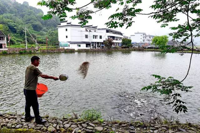 来党中央引领脱贫攻坚纪实CQ9电子app十八大以(图21) 来党中央引领脱贫攻坚纪实CQ9电子app十八大以(图21)